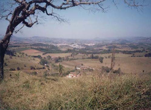 mirante.JPG (36174 bytes)