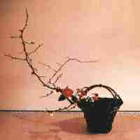 Ikebana, a arte do arranjo floral.