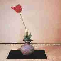 Ikebana, a arte do arranjo floral.