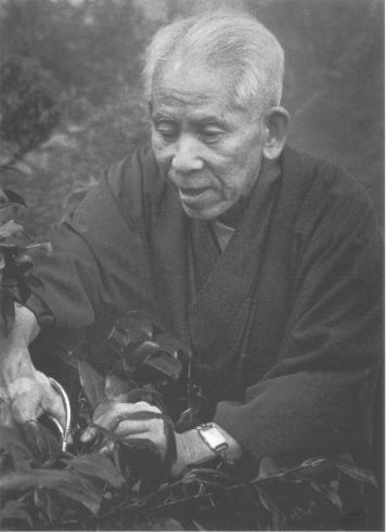 MS cortando Ikebana frente.jpg (20821 bytes)