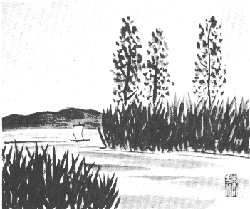 barco.gif (32827 bytes)